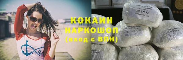 PSILOCYBIN Арсеньев