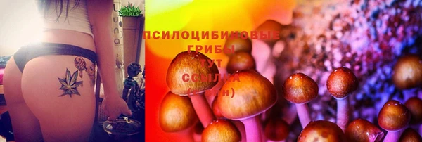 спайс Аркадак
