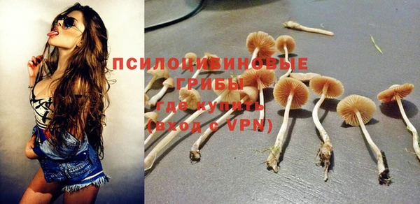 спайс Аркадак