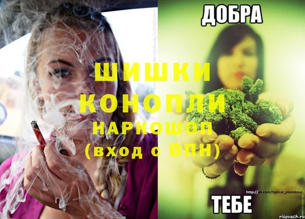 спайс Аркадак