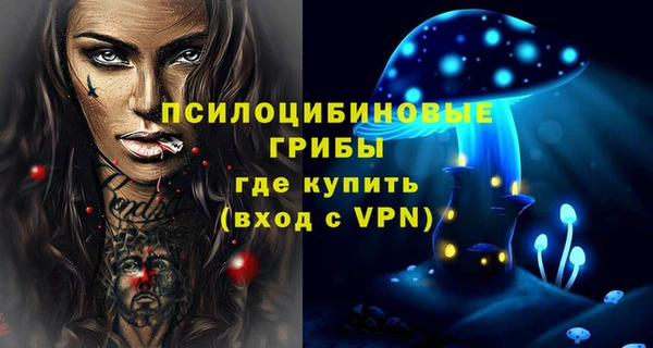 спайс Аркадак